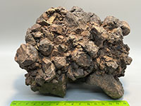 a rugged chunk of brown lava rock made up of angular fragments stuck together